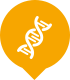 Genetics