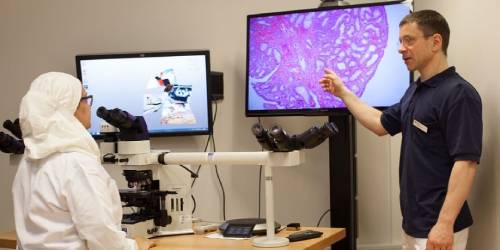 Our highly experienced staff help you offer a standout service to your patients